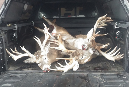 Deer Hunting Ranch in Mi