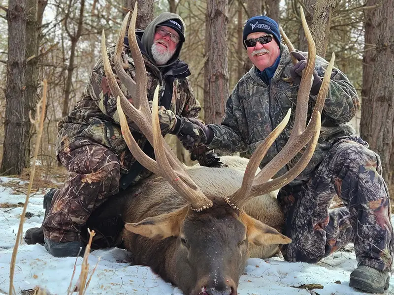 Elk Hunting at Cuppen's Game Ranch